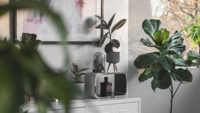 Decoracao Natural Como Usar Plantas para Transformar Seu Lar